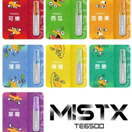 MISTX 鴨嘴獸 6500口新品上市 一次性電子煙 台灣現貨